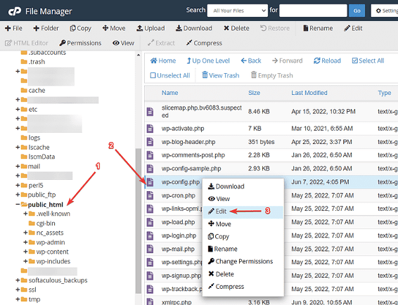 repair WordPress database